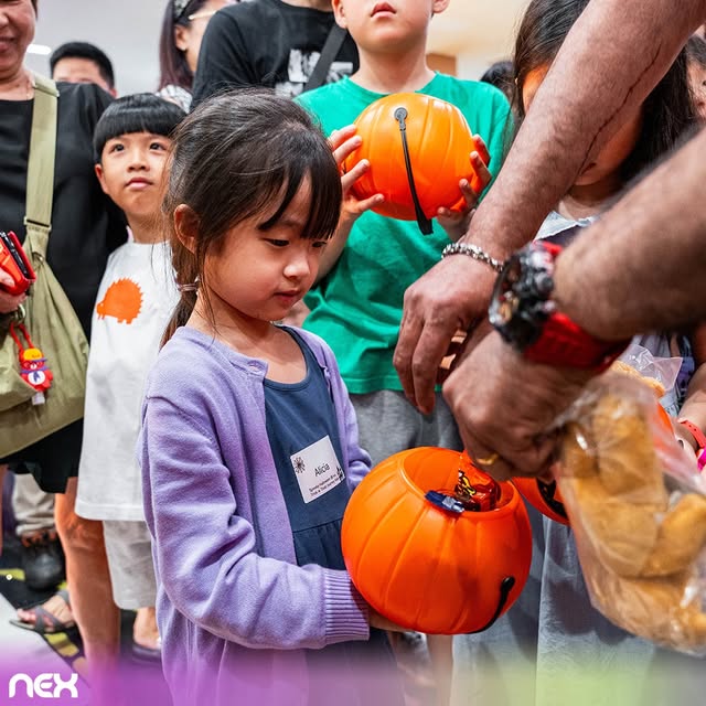 A festive Halloween-themed display with pumpkins and decorations